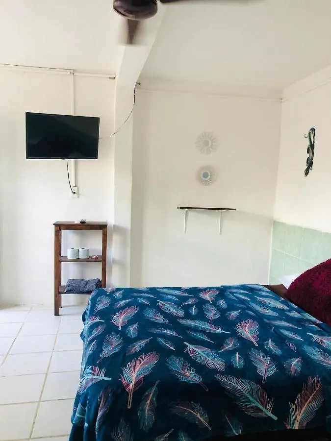 Värdshus Posada 77 Tulum